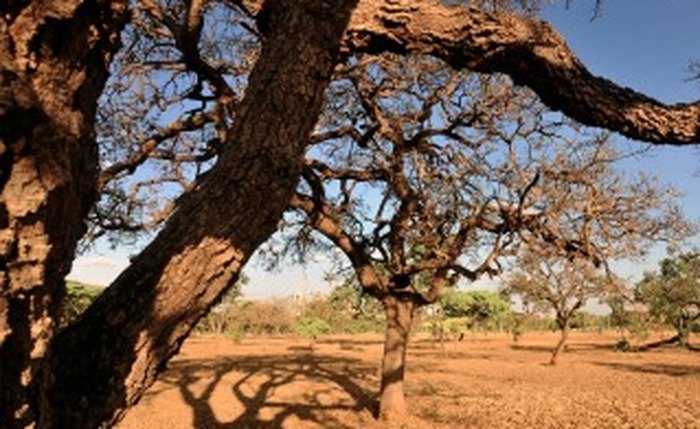 Governo segura verba do combate à seca