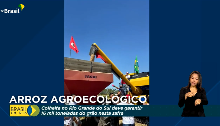 Safra de arroz agroecológico deve garantir 16 mil toneladas