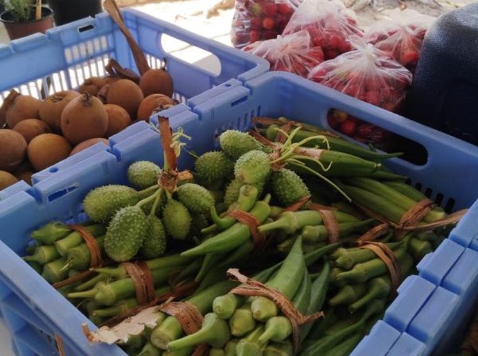 Feira Orgânica acontece na terça,2, na Secretaria Estadual do Meio Ambiente