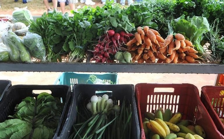 Encontro em Paris busca compromissos políticos por alimentação global