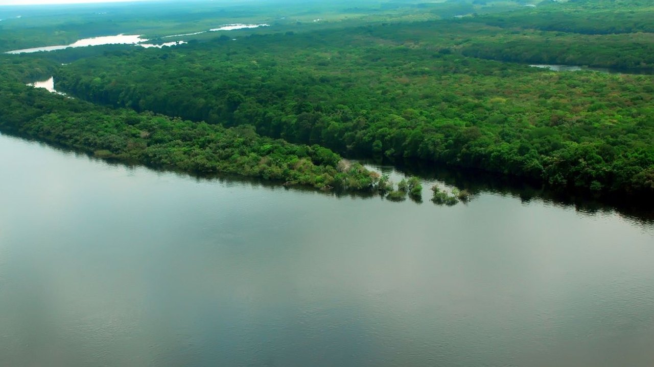 Na Cúpula da Amazônia, secretária-geral da OTCA defende desmatamento zero até 2030