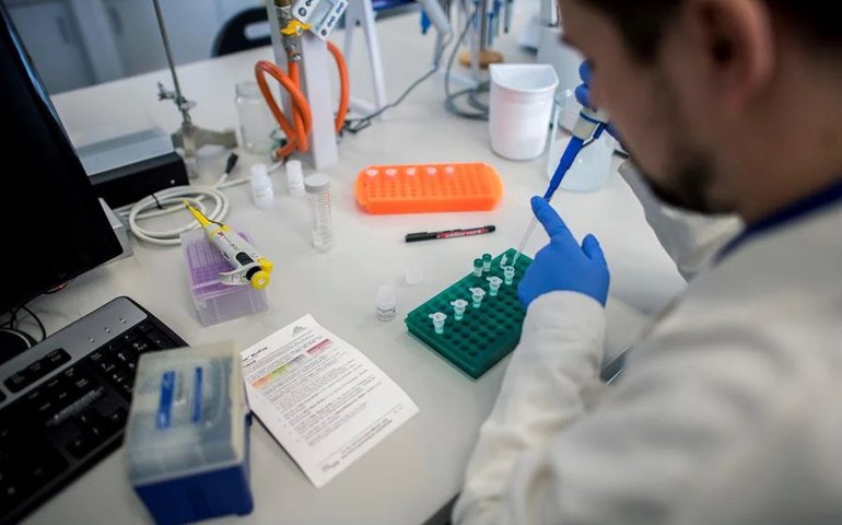 Cientistas descobrem primeiro anticorpo capaz de bloquear Covid-19