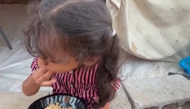 Apelo coletivo pede cessar-fogo humanitário em Gaza