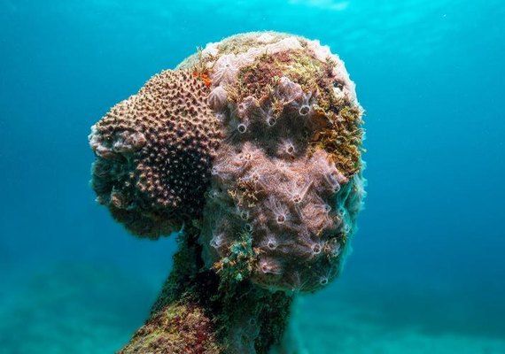 Conheça o museu subaquático que serve de proteção a corais no Caribe colombiano