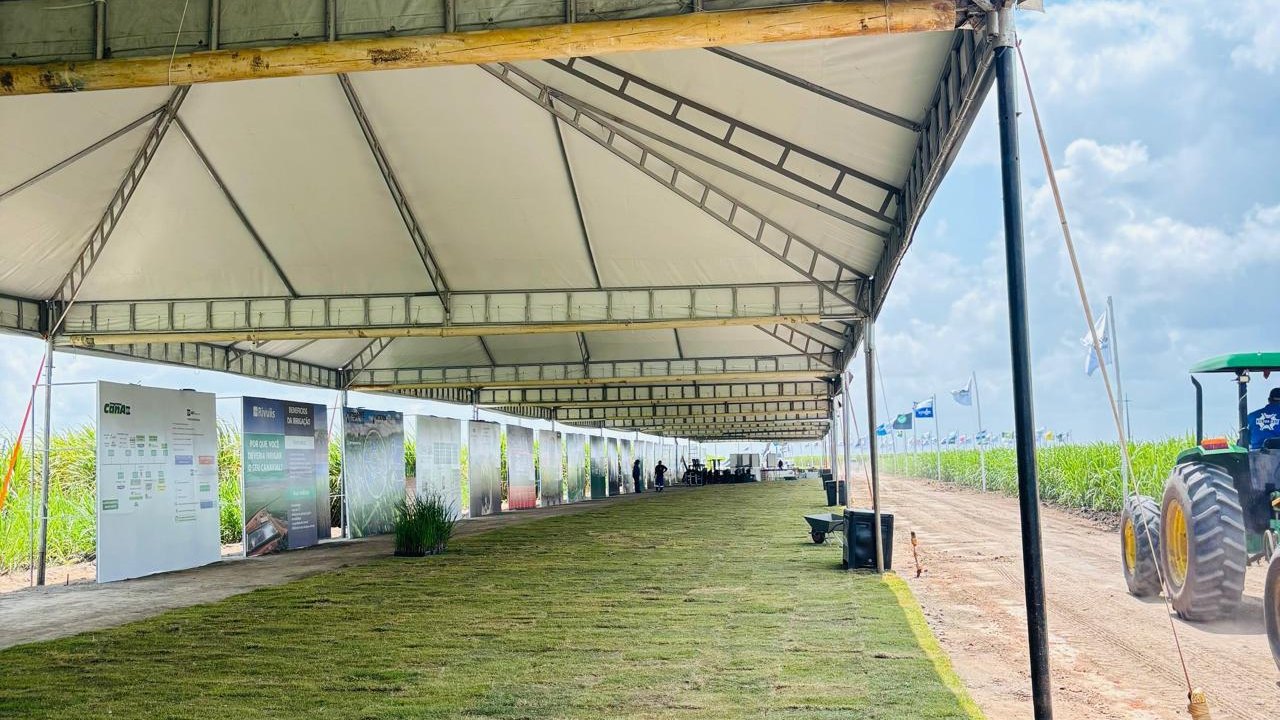 Cana Show Inovação acontece nesta quinta (25) em São Miguel dos Campos