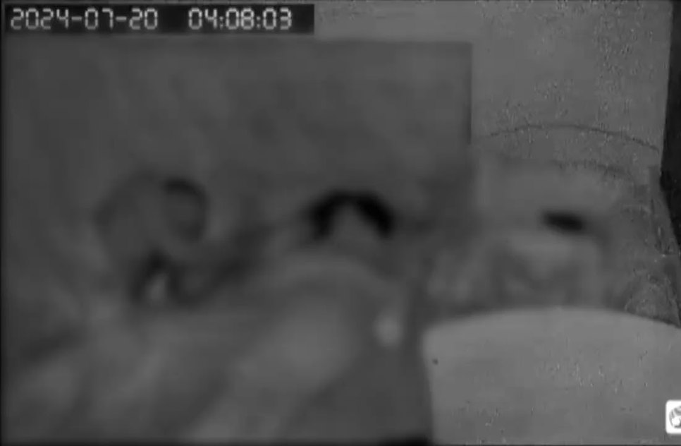 VÍDEO: Dupla criminosa invade casa de família adormecida e realiza série de furtos.jpg