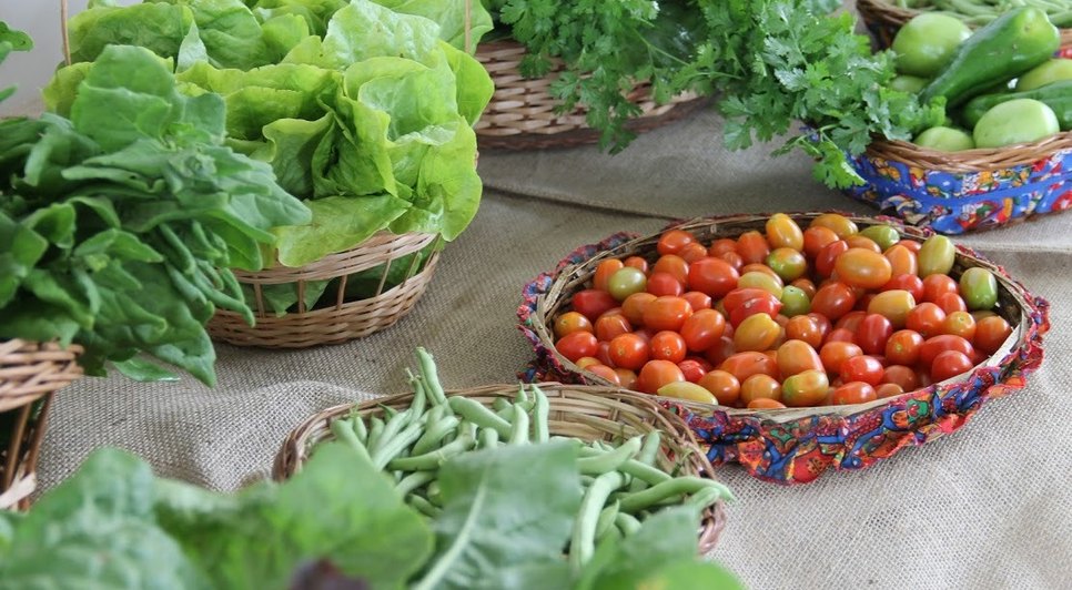 ALIMENTOS ASN