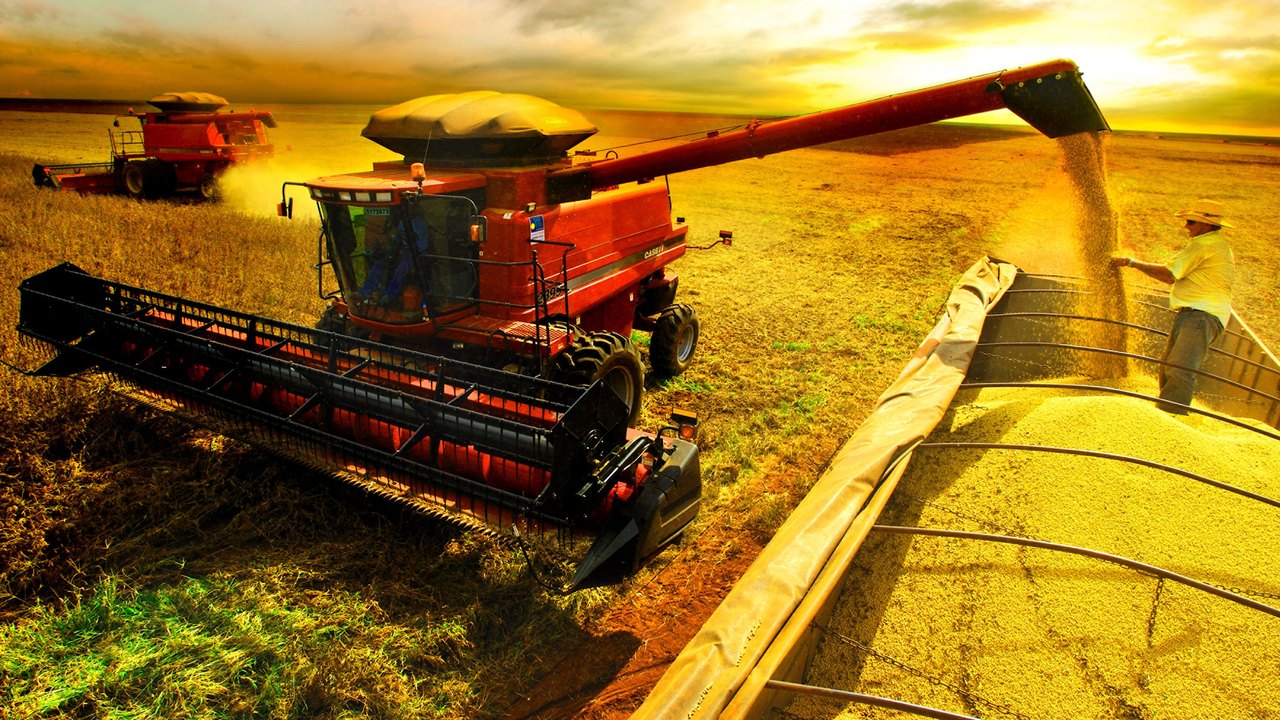 IBGE prevê safra agrícola recorde de 270,7 milhões de toneladas para 2022