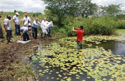 Recorde: Governo doa mais de 2 milhões de alevinos a agricultores familiares