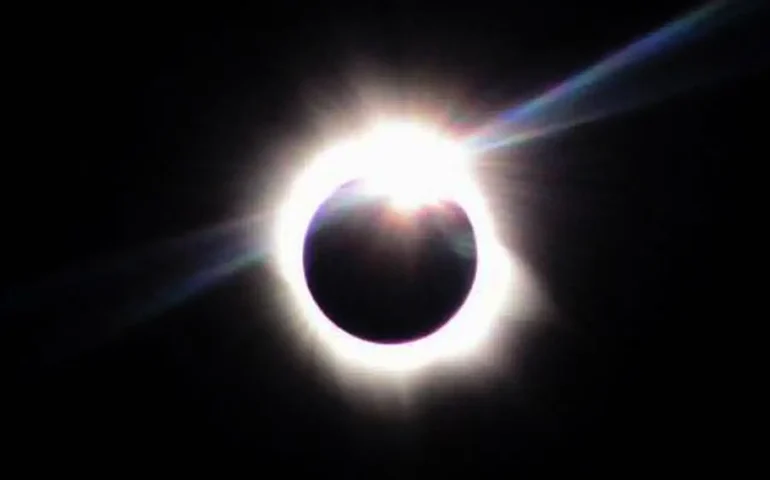 Como os animais reagem a um eclipse solar? Cientistas americanos pretendem descobrir em abril