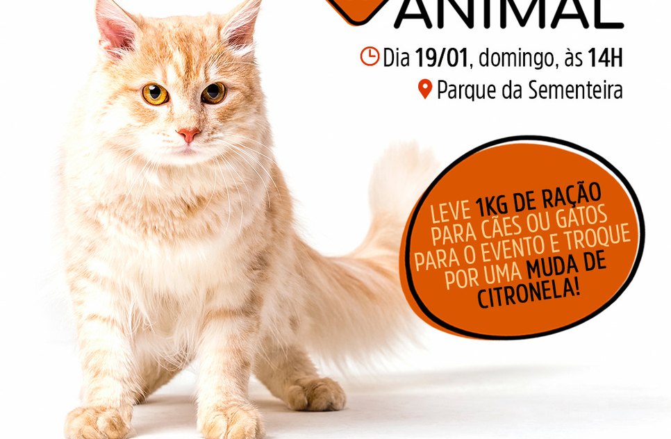 AMIGO ANIMAL / Foto: Arte Secom