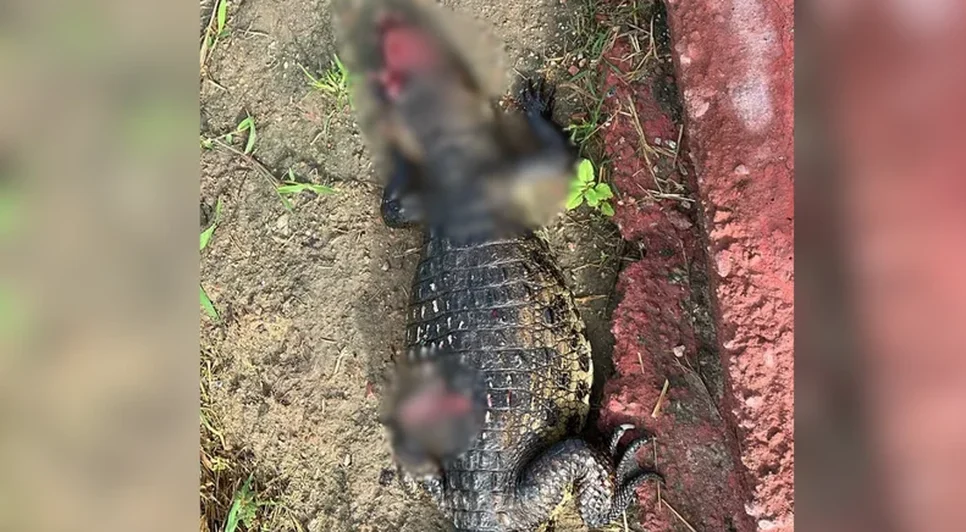 b6abb816f5244ccad987718841ee10d1d56