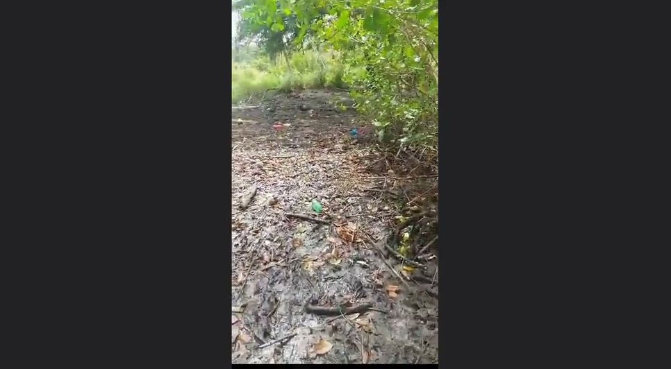 População relata mortandade de peixes no Rio Piauí em Estância.jpg