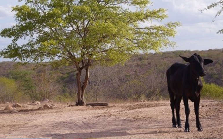 Workshop apresenta previsão climática de curto e médio prazo para Alagoas