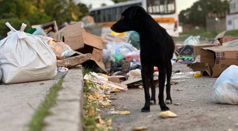 Foto: Vinícius Mecenas