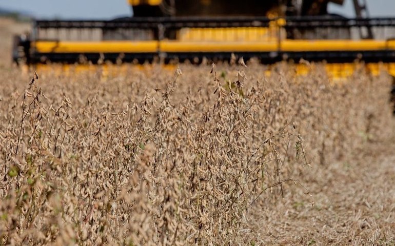 Queda das commodities, risco fiscal e até a agenda verde explicam menor investimento estrangeiro no Brasil neste ano