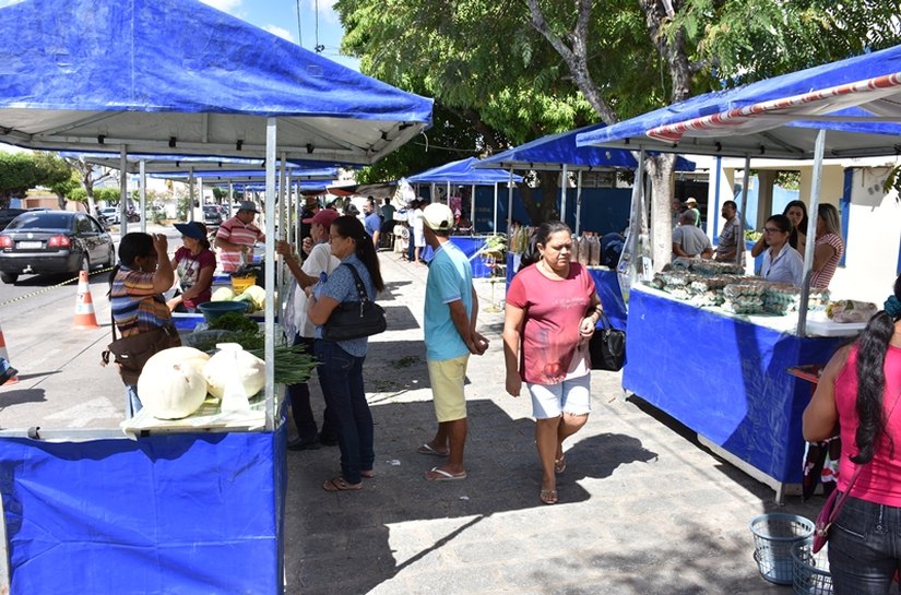 Segunda edição da Feira da Agricultura Familiar acontece nesta sexta em Santana