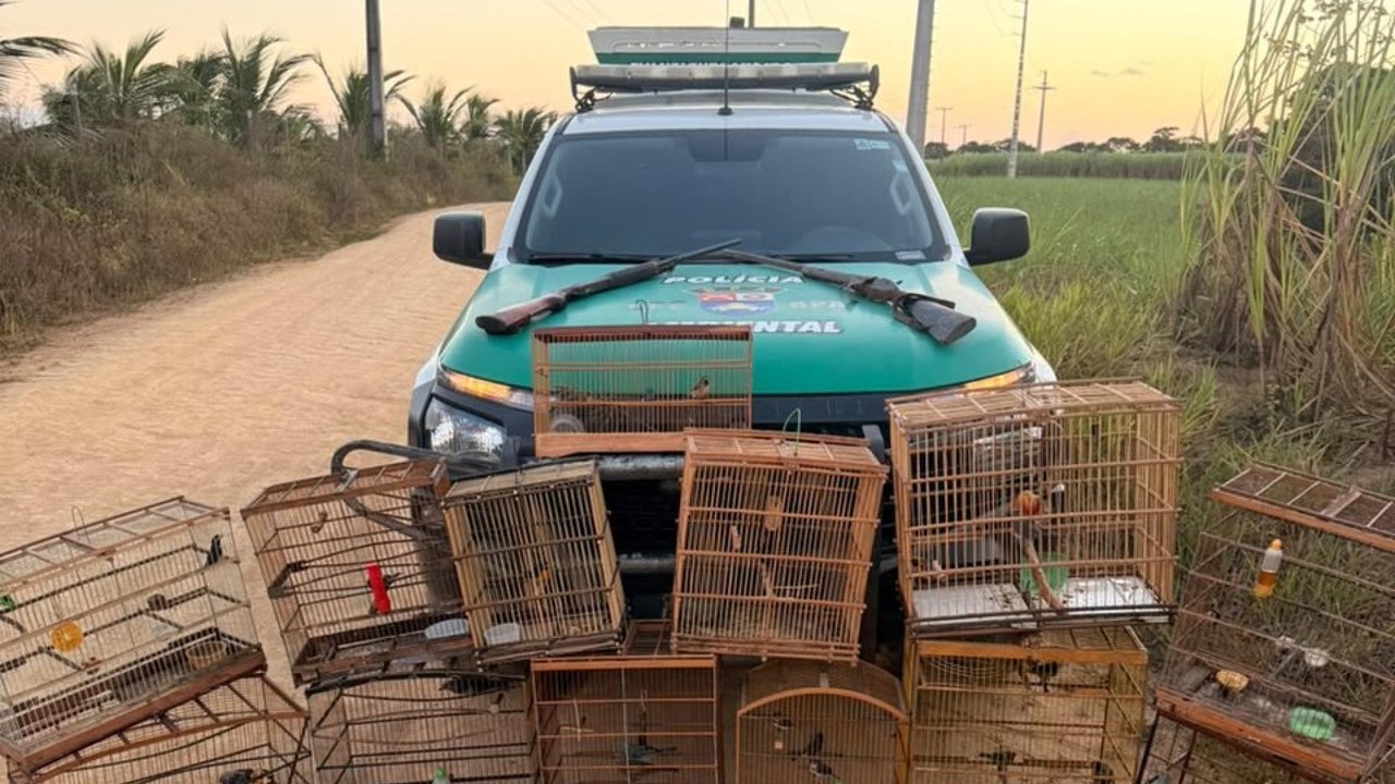 PM-AL apreende duas armas de fogo e resgata 59 animais silvestres em ações de fiscalização