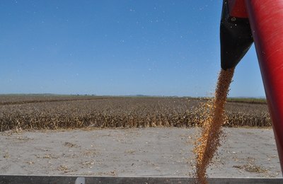 Seagri inicia, nesta sexta-feira (11), Caravana de Grãos em Alagoas