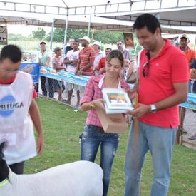 0cd6a5255ea33687f8d0bc4fbe5b0d4b97b3b292