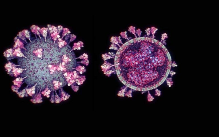 Com 3.120 mortes em 24 horas, Brasil passa das 395 mil vítimas da covid-19