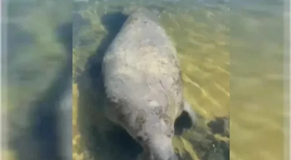 6ede8800ba57cc2da695bd52622d826b1ea