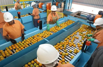 Exportação de produtos atingidos por tarifaço cai 22% em agosto