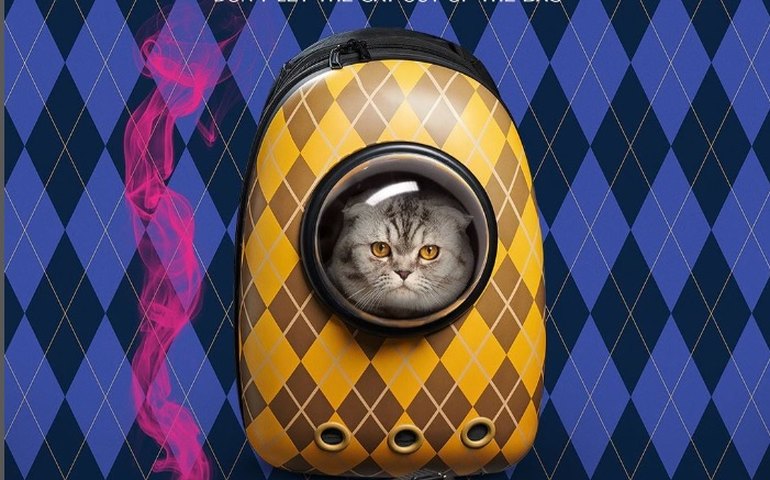 'Argylle' diverte, apesar do roteiro fraco