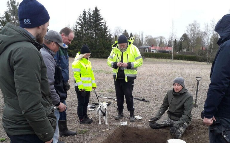 Tesouro viking: broches de ouro mesclam arte nórdica e cristianismo, intrigando cientistas (FOTOS)