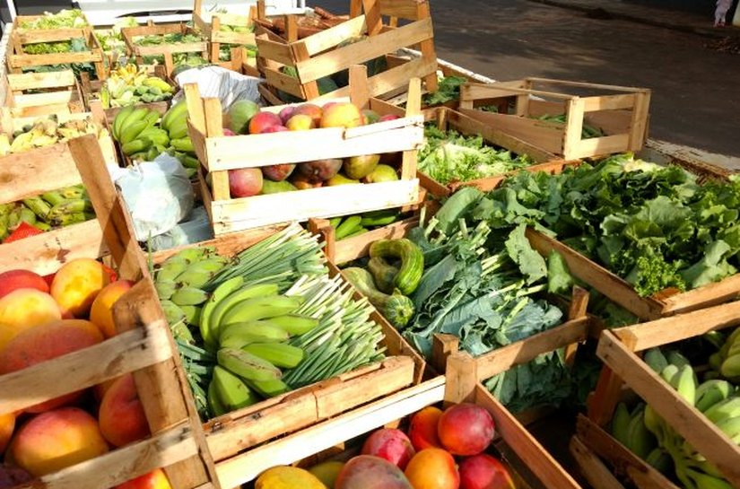Municípios podem manifestar interesse no Programa de Aquisição de Alimentos até 20 de maio