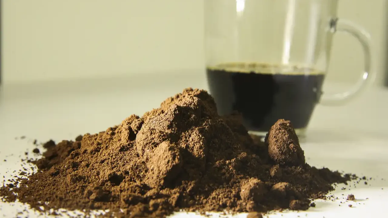 Por que a cafeína do chá parece agir de forma diferente da cafeína do café