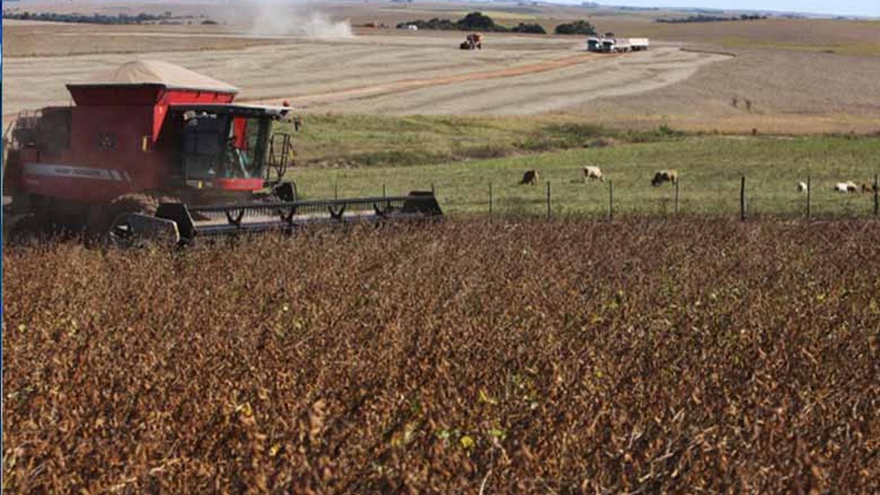 Valor da produção agropecuária de 2015 é de R$ 473,2 bilhões