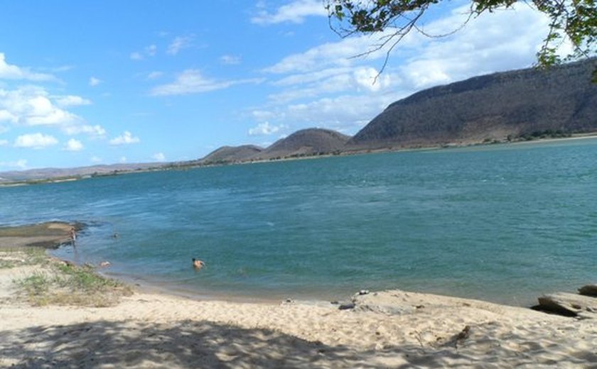 Após ser picado por abelhas homem morre em Traipu/AL