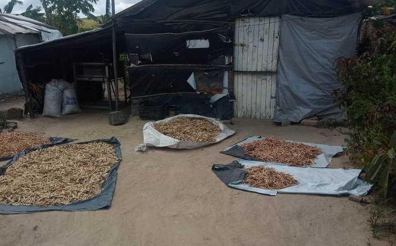 Acampamento São José: 17 anos de resistência nas Terras de Atalaia