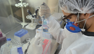 46 novos casos de Influenza A H3N2 são registrados em Sergipe / Foto: Foto: SES/SE