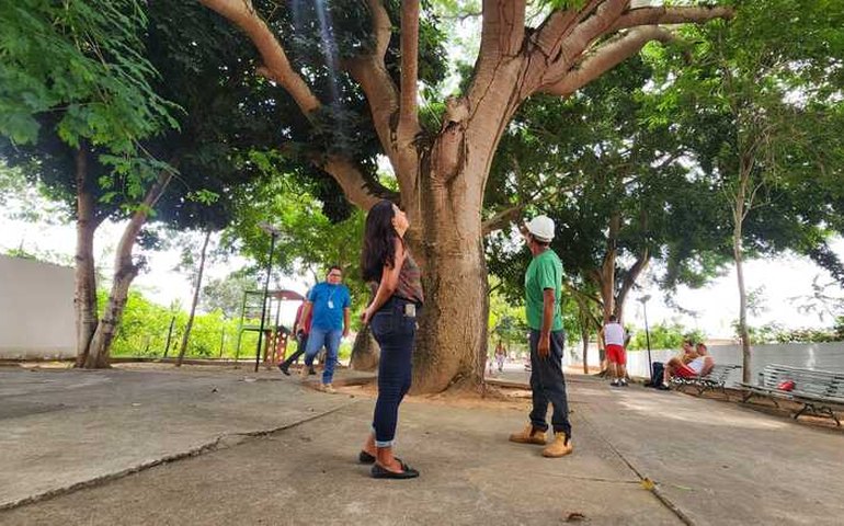 Arapiraca Verde: Técnicos da Prefeitura inspecionam vegetação dos espaços públicos