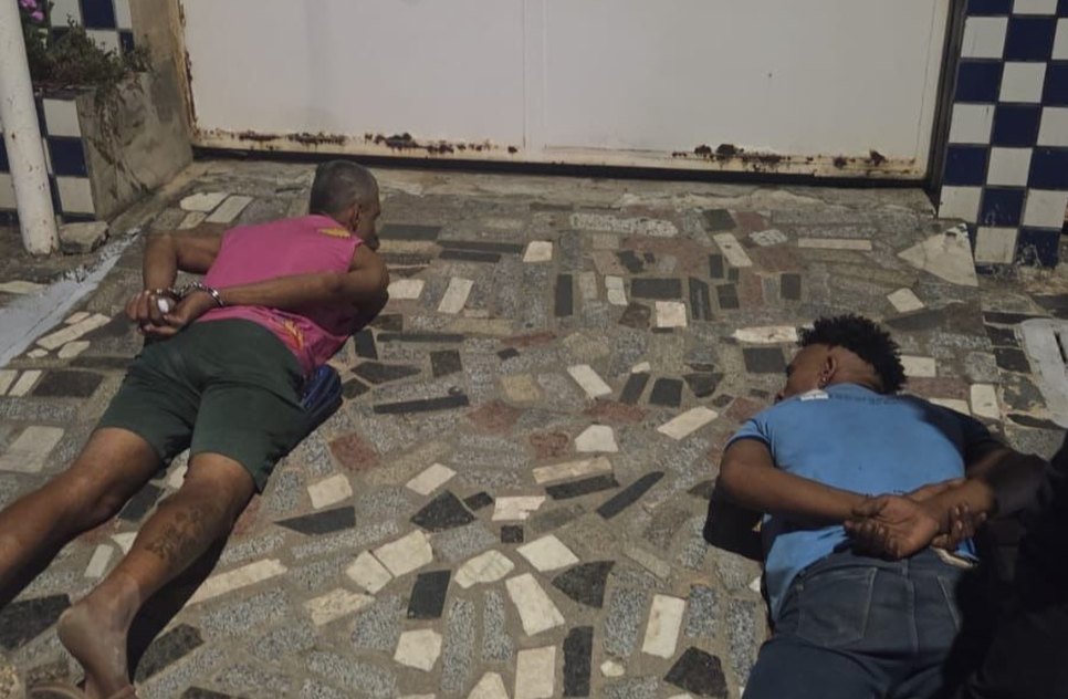 DHPP / Foto: Foto: SSP/SE