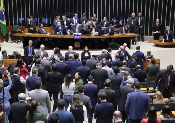 Câmara aprova projeto que proíbe uso de animais em testes de cosméticos