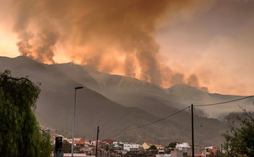 Incêndio fica 'fora de controle' em ilha na Espanha, e moradores são obrigados a evacuar; vídeo