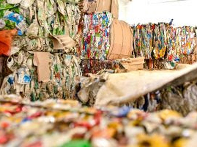 Estudo aponta que brasileiros priorizam consciência ambiental na hora de reciclar
