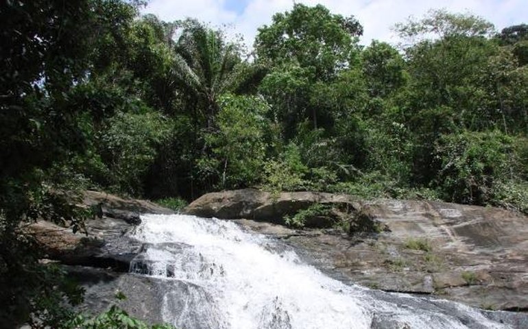 Técnicos participam de capacitação sobre unidades de conservação