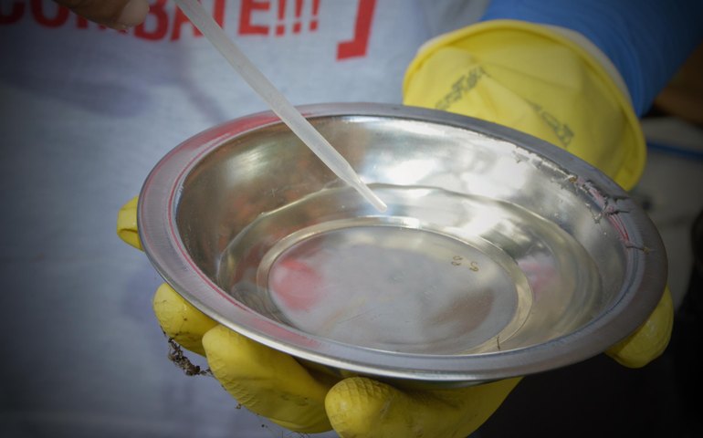 Especialista explica porque os casos da dengue aumentam no verão