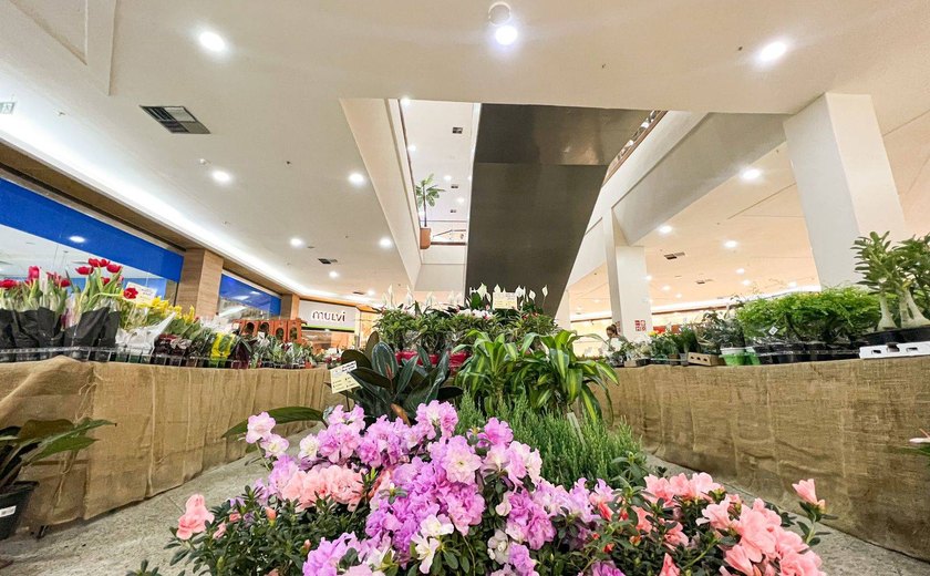 Feira de Flores de Holambra chega ao Maceió Shopping