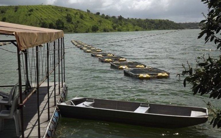 Governo autoriza crédito de R$ 1,7 milhão para o Alagoas Mais Peixe
