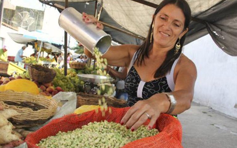 Tradicional Feira Livre de Arapiraca acontecerá na terça-feira