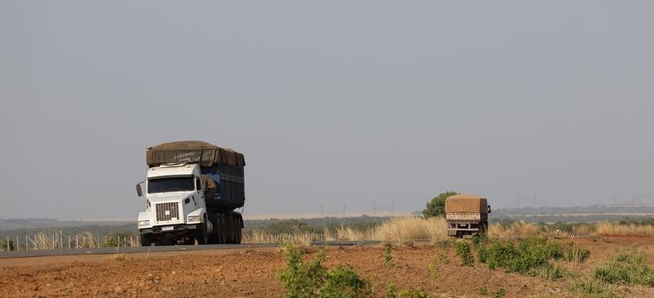 Balsas (MA), 09/10/2025 – Caminhões circulam na rodovia MA-140 próximo a fazendas de cultivo de soja. Foto: Fernando Frazão/Agência Brasil