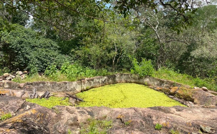 IMA orienta sobre cuidados necessários ao fazer uma trilha ecológica