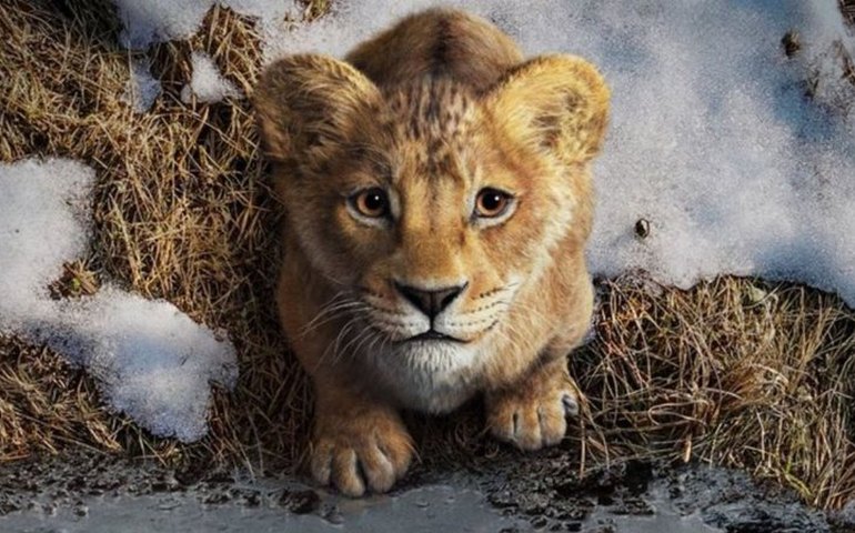Poster, trilha sonora e novo trailer: as novidades de 'Mufasa: O Rei Leão', divulgadas pela Disney 