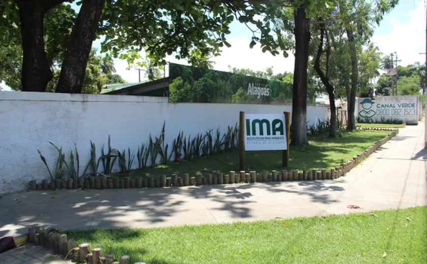 Operação de fiscalização flagra irregularidades em rede de farmácias de Maceió