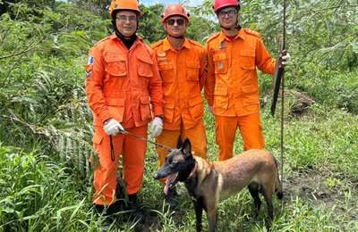 Corpo de Bombeiros atuou em 70 ocorrências envolvendo pessoas desaparecidas em 2026